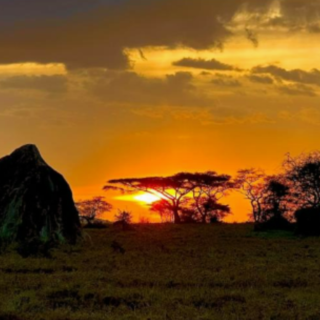 Brooke's Appreciation for Tanzania's Unique Culture and Traditions Banner